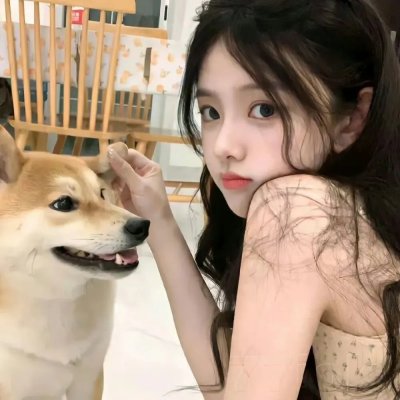 天网狼蛛